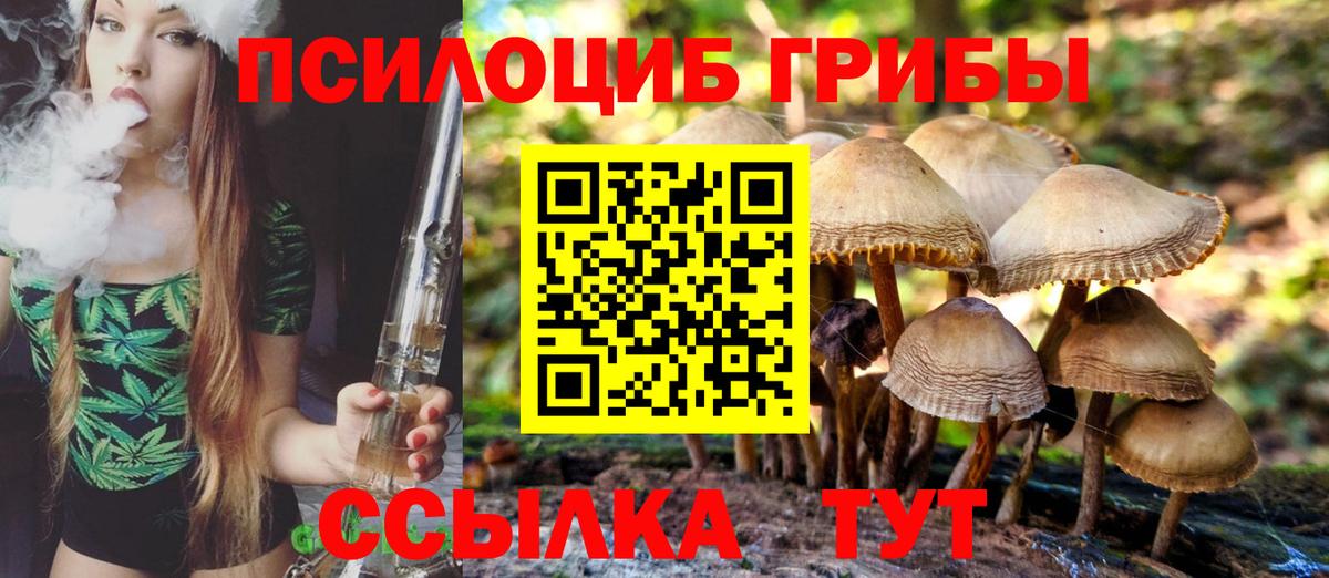 Псилоцибиновые грибы Cubensis  Вход с VPN  где купить наркоту  Псилоцибиновые грибы Cubensis  Светлоград 