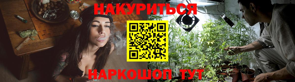 Конопля Ganja Светлоград